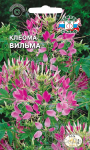 Клеома Вильма (СеДеК)