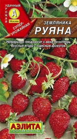 Земляника Руяна (Аэлита)