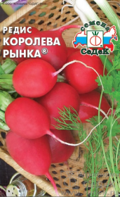 Редис Королева Рынка (СеДеК)