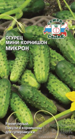 Огурец Микрон (СеДек)