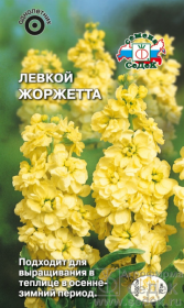 Левкой Жоржетта (СеДеК)