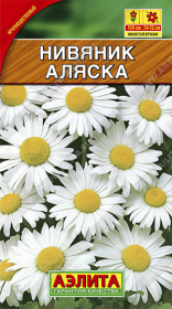 Нивяник Аляска (Аэлита)