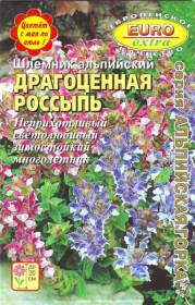 Шлемник Драгоценная россыпь (Аэлита-семена)