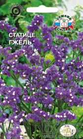 Статице Гжель (СеДеК)