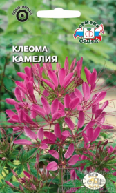 Клеома Камелия (СеДеК)