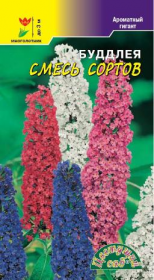 Будлея Смесь сортов (Цвет.сад)