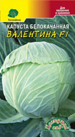 Капуста б/к Валентина (Цвет.сад)